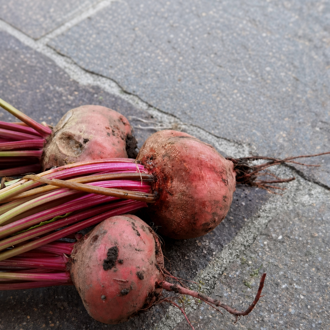 Three freshly harvested red beets with stems and soil resting on a grey stone surface.