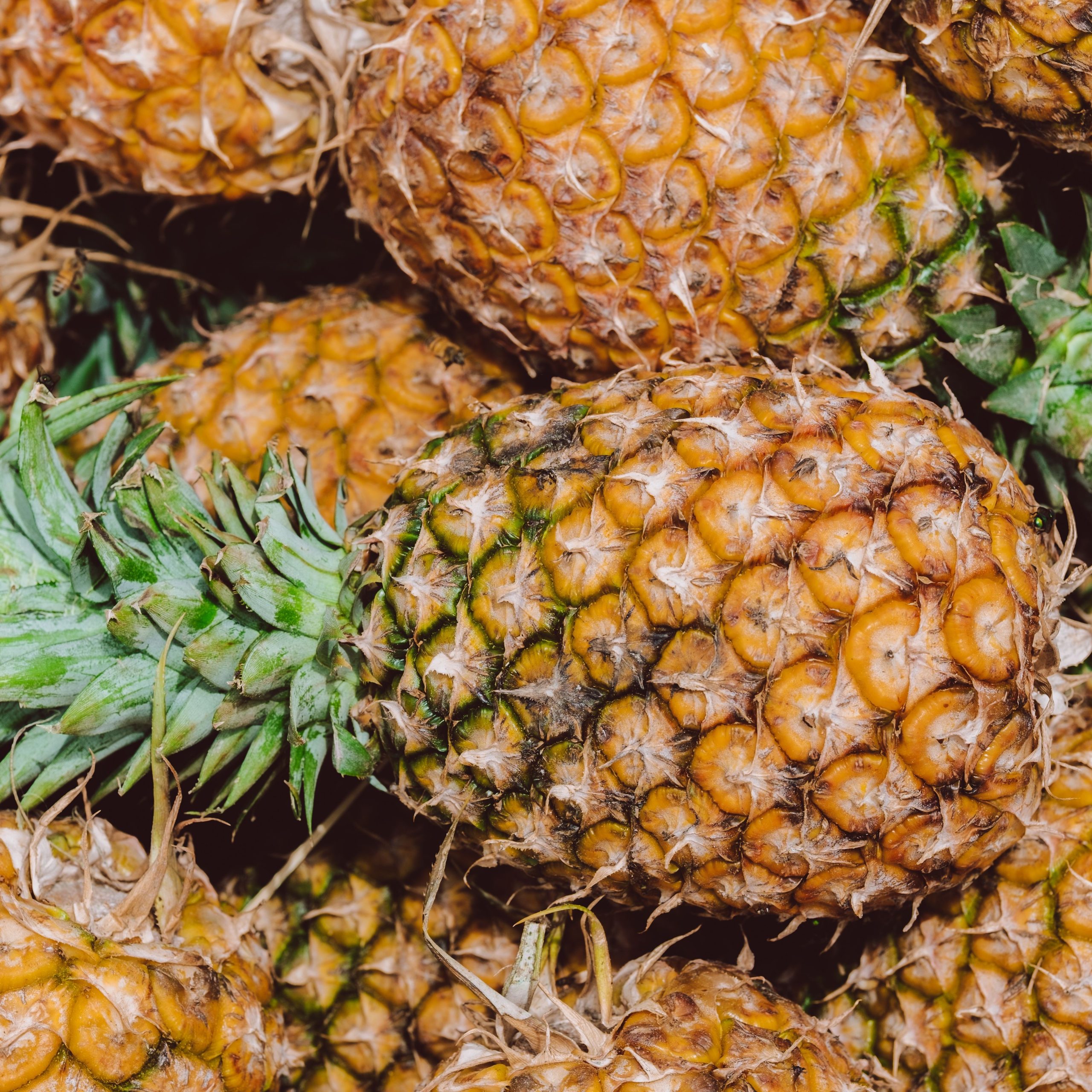 Close-up of ripe golden pineapples piled together with green leafy crowns.